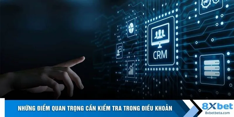 Những điểm quan trọng cần kiểm tra trong điều khoản