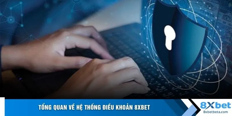 Tổng quan về hệ thống điều khoản 8XBET